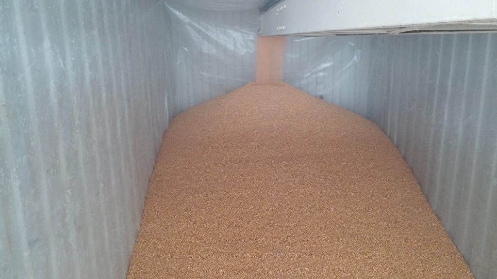 Lldp Inner Bucket ABC’S of what you need to know to use Liners - BULKFLOW BLOG