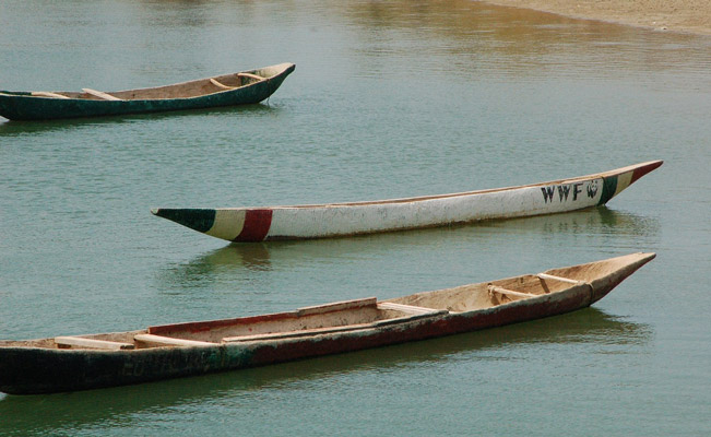 canoes